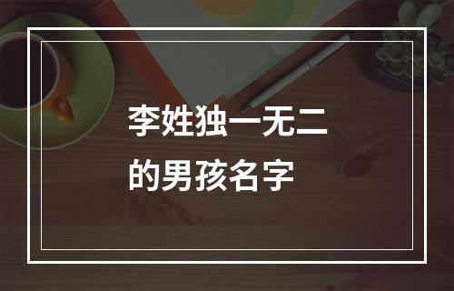 李姓独一无二的男孩名字