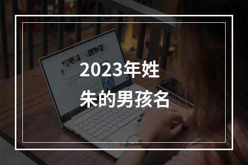2023年姓朱的男孩名