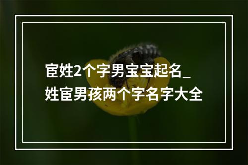 宦姓2个字男宝宝起名_姓宦男孩两个字名字大全