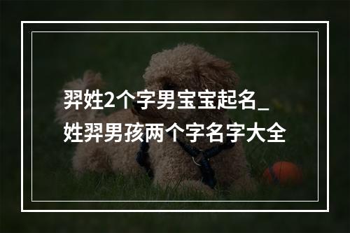 羿姓2个字男宝宝起名_姓羿男孩两个字名字大全