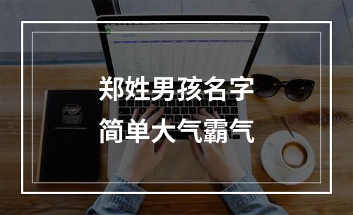 郑姓男孩名字简单大气霸气