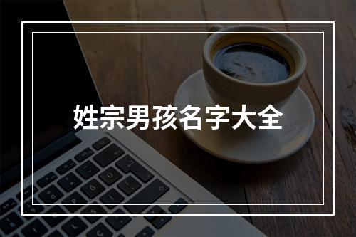 姓宗男孩名字大全
