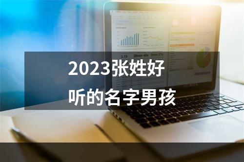 2023张姓好听的名字男孩