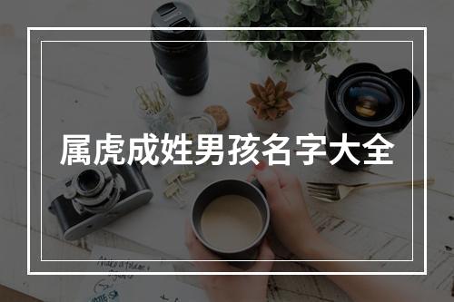 属虎成姓男孩名字大全