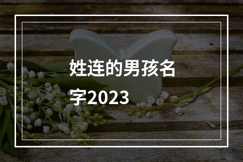 姓连的男孩名字2023