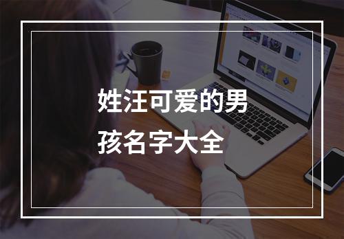 姓汪可爱的男孩名字大全