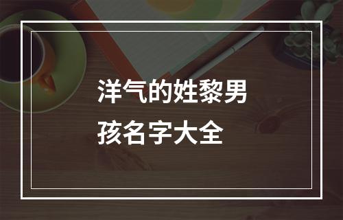 洋气的姓黎男孩名字大全