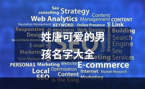 姓唐可爱的男孩名字大全