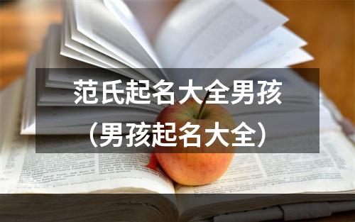 范氏起名大全男孩（男孩起名大全）