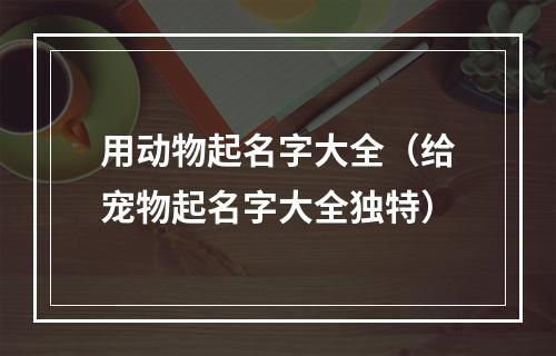 用动物起名字大全（给宠物起名字大全独特）
