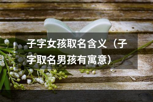子字女孩取名含义（子字取名男孩有寓意）