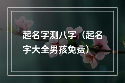 起名字测八字（起名字大全男孩免费）