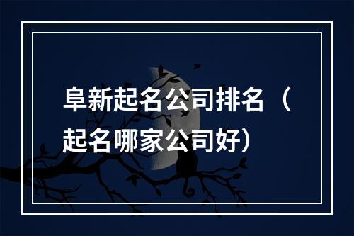阜新起名公司排名（起名哪家公司好）