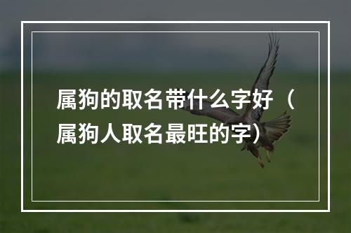 属狗的取名带什么字好（属狗人取名最旺的字）