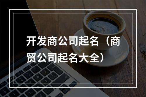 开发商公司起名（商贸公司起名大全）