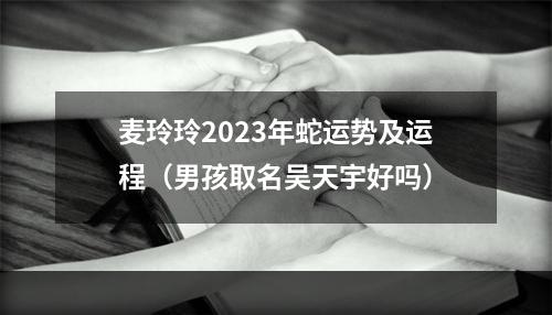 麦玲玲2023年蛇运势及运程（男孩取名吴天宇好吗）