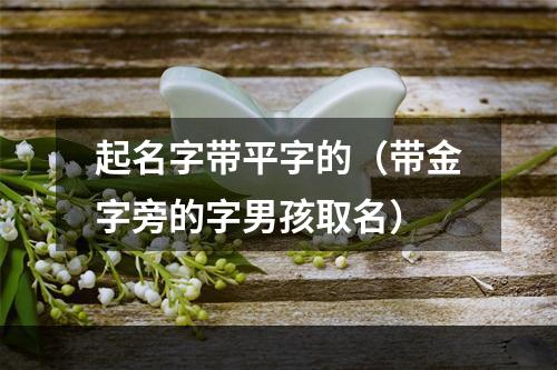 起名字带平字的（带金字旁的字男孩取名）
