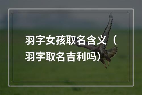 羽字女孩取名含义（羽字取名吉利吗）