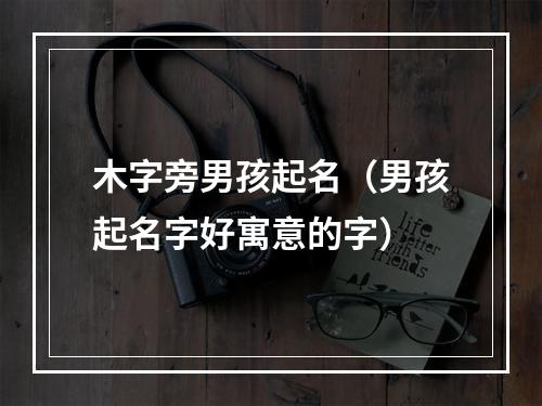 木字旁男孩起名（男孩起名字好寓意的字）