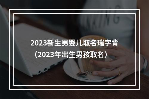 2023新生男婴儿取名瑞字背（2023年出生男孩取名）