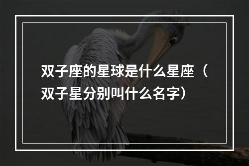 双子座的星球是什么星座（双子星分别叫什么名字）