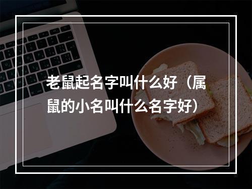 老鼠起名字叫什么好（属鼠的小名叫什么名字好）