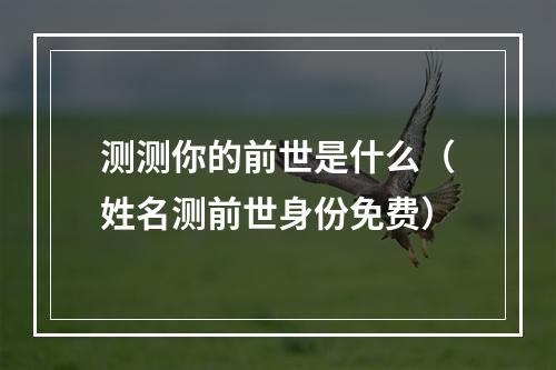 测测你的前世是什么（姓名测前世身份免费）