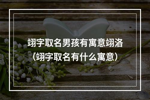 翊字取名男孩有寓意翊洛（翊字取名有什么寓意）