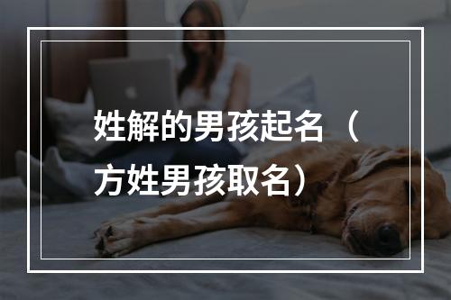 姓解的男孩起名（方姓男孩取名）