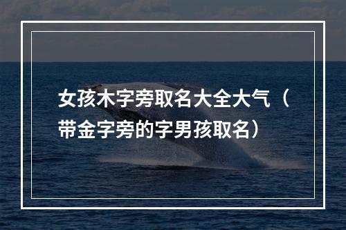 女孩木字旁取名大全大气（带金字旁的字男孩取名）