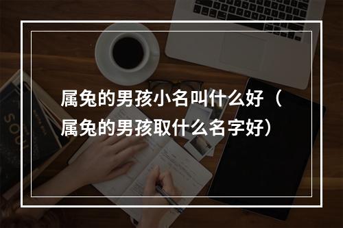 属兔的男孩小名叫什么好（属兔的男孩取什么名字好）