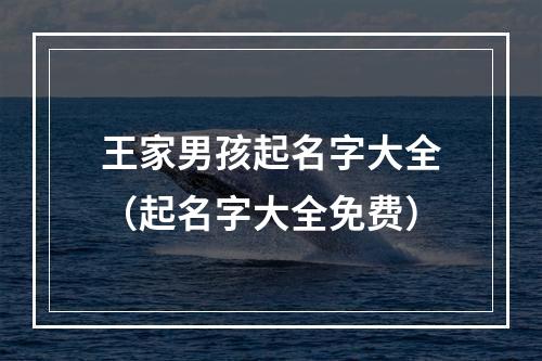 王家男孩起名字大全（起名字大全免费）