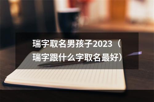 瑞字取名男孩子2023（瑞字跟什么字取名最好）