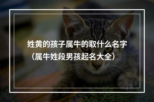 姓黄的孩子属牛的取什么名字（属牛姓段男孩起名大全）