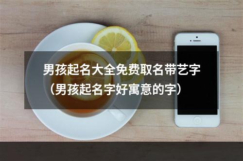 男孩起名大全免费取名带艺字（男孩起名字好寓意的字）