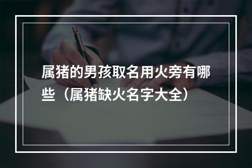 属猪的男孩取名用火旁有哪些（属猪缺火名字大全）