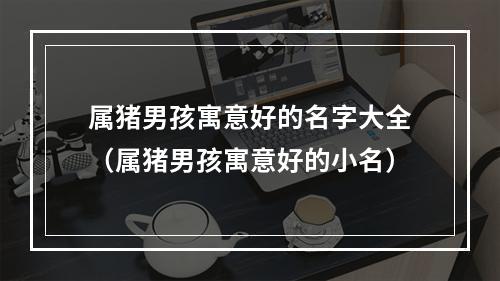 属猪男孩寓意好的名字大全（属猪男孩寓意好的小名）