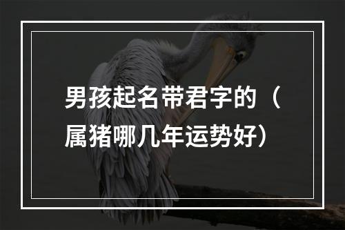 男孩起名带君字的（属猪哪几年运势好）
