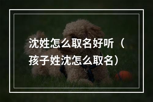 沈姓怎么取名好听（孩子姓沈怎么取名）