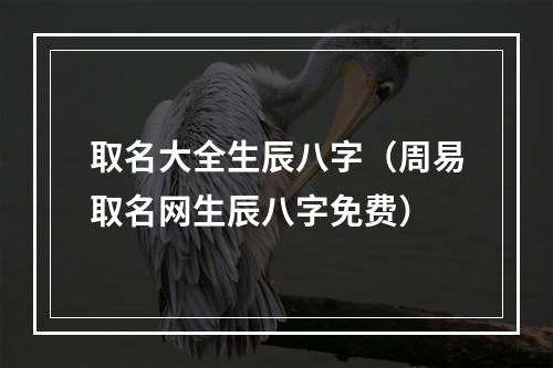 取名大全生辰八字（周易取名网生辰八字免费）