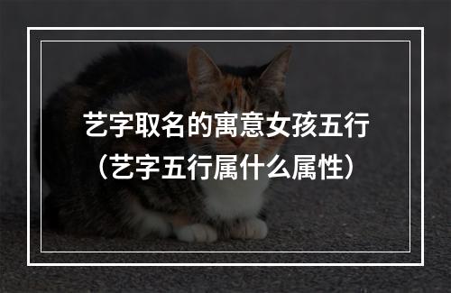 艺字取名的寓意女孩五行（艺字五行属什么属性）