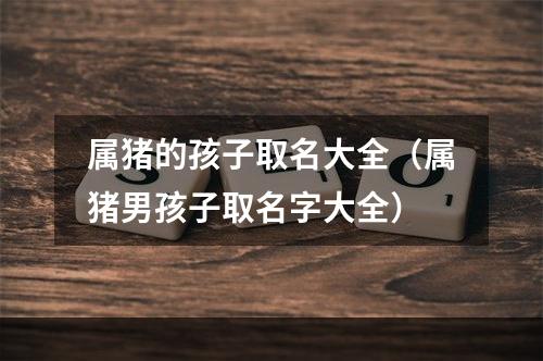 属猪的孩子取名大全（属猪男孩子取名字大全）