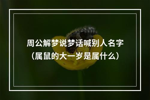 周公解梦说梦话喊别人名字（属鼠的大一岁是属什么）