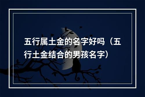 五行属土金的名字好吗（五行土金结合的男孩名字）