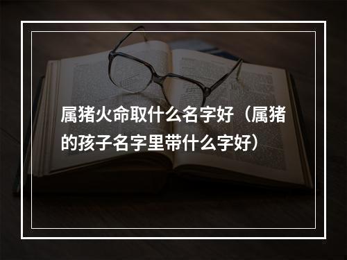 属猪火命取什么名字好（属猪的孩子名字里带什么字好）