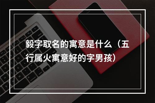 毅字取名的寓意是什么（五行属火寓意好的字男孩）