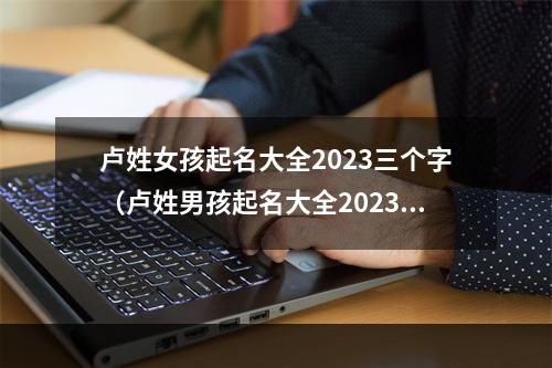卢姓女孩起名大全2023三个字（卢姓男孩起名大全2023）