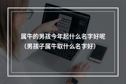 属牛的男孩今年起什么名字好呢（男孩子属牛取什么名字好）
