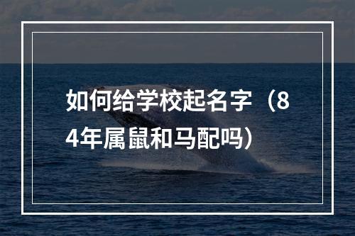 如何给学校起名字（84年属鼠和马配吗）