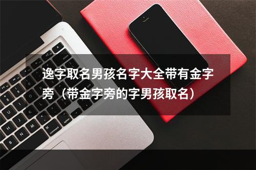 逸字取名男孩名字大全带有金字旁（带金字旁的字男孩取名）